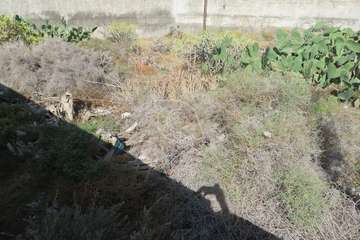 El peligro de incendio acecha a El Cubillo/TA.